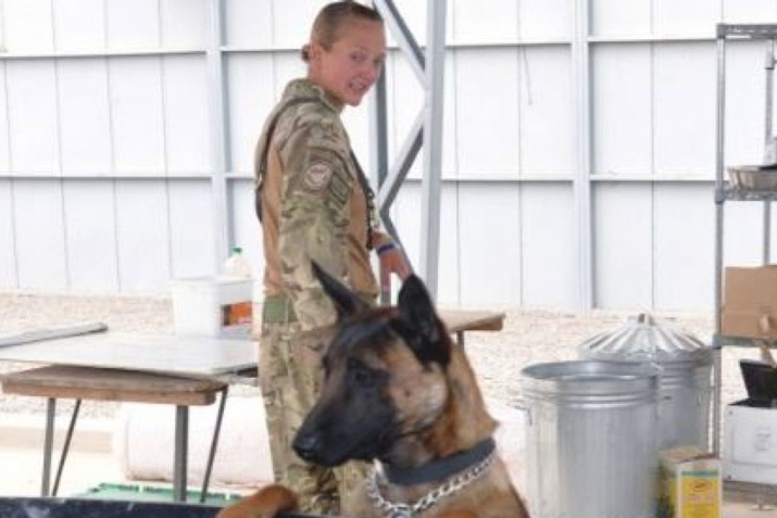 Rehoming 2024 military dogs