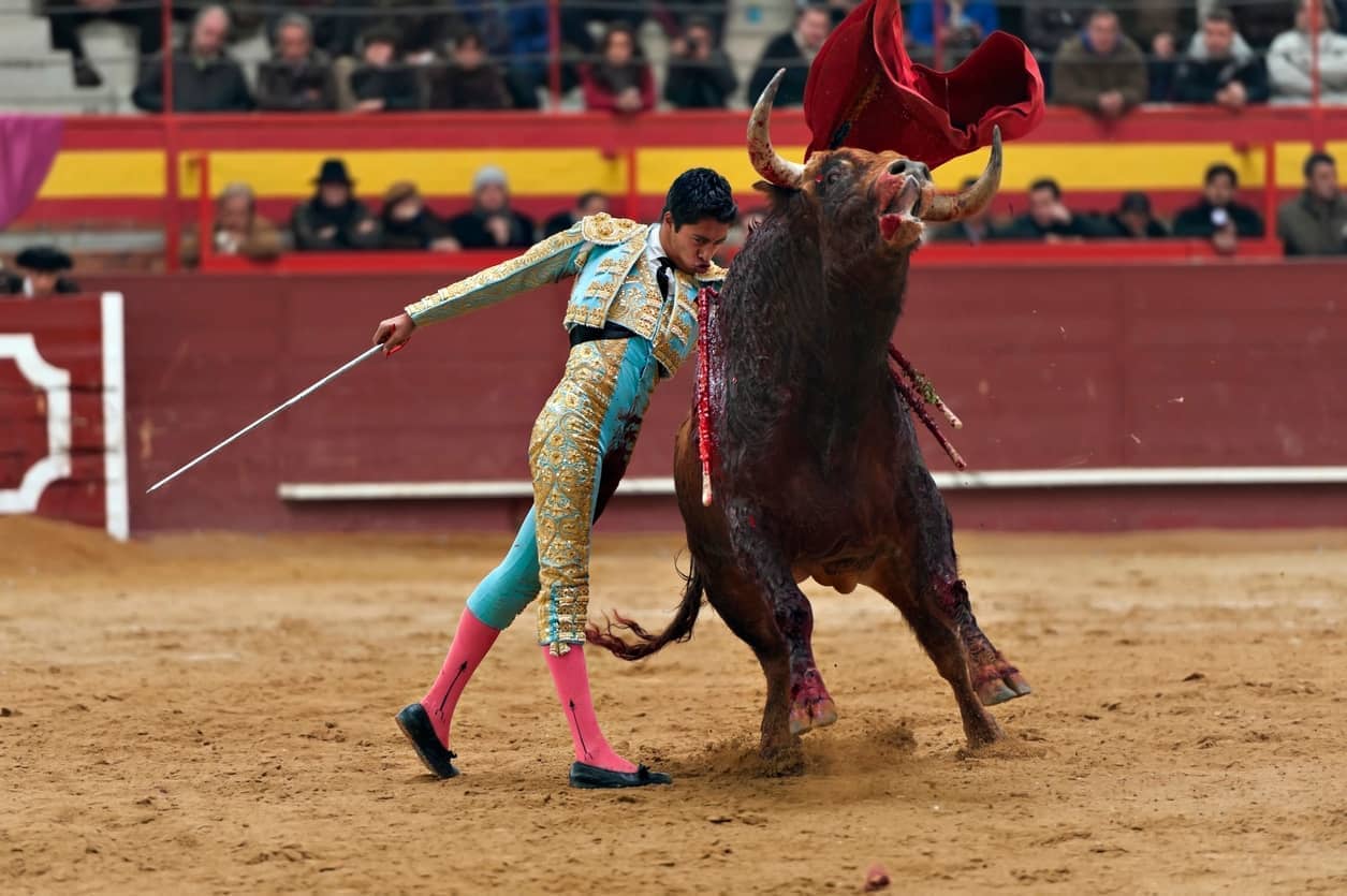 Bullfighting and the fight for Spain’s future The Spectator