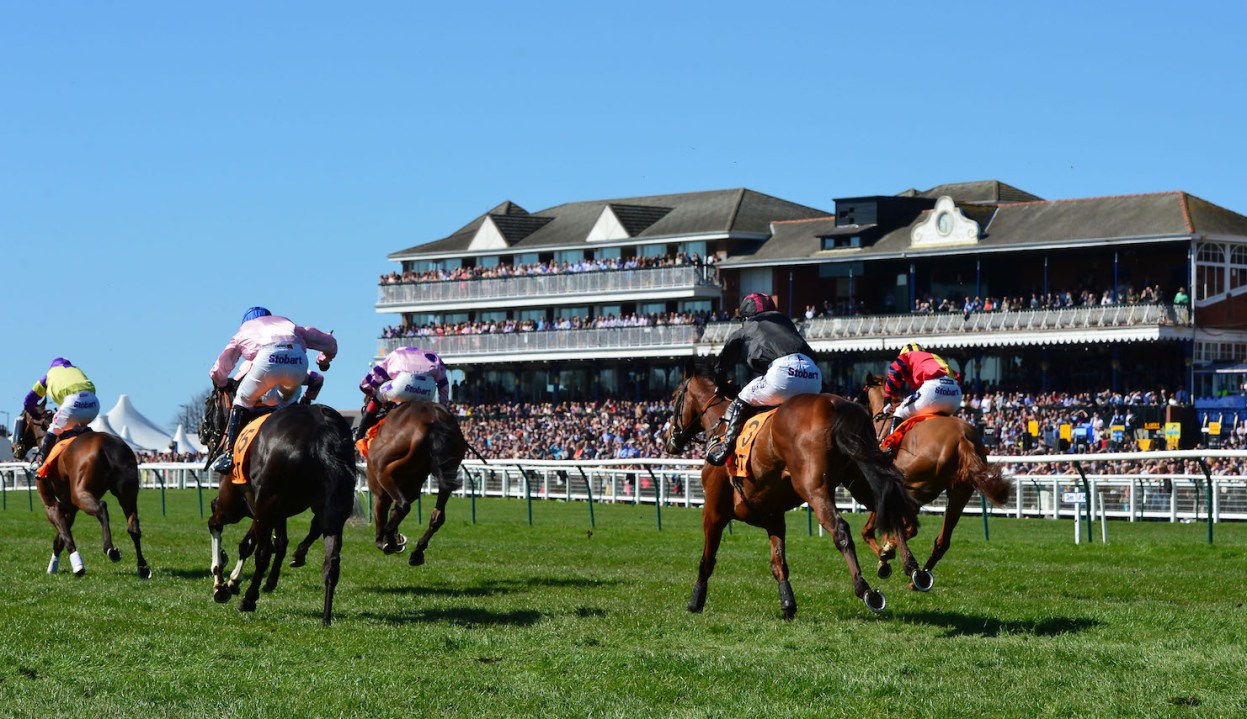 Two tips for the Scottish Grand National The Spectator