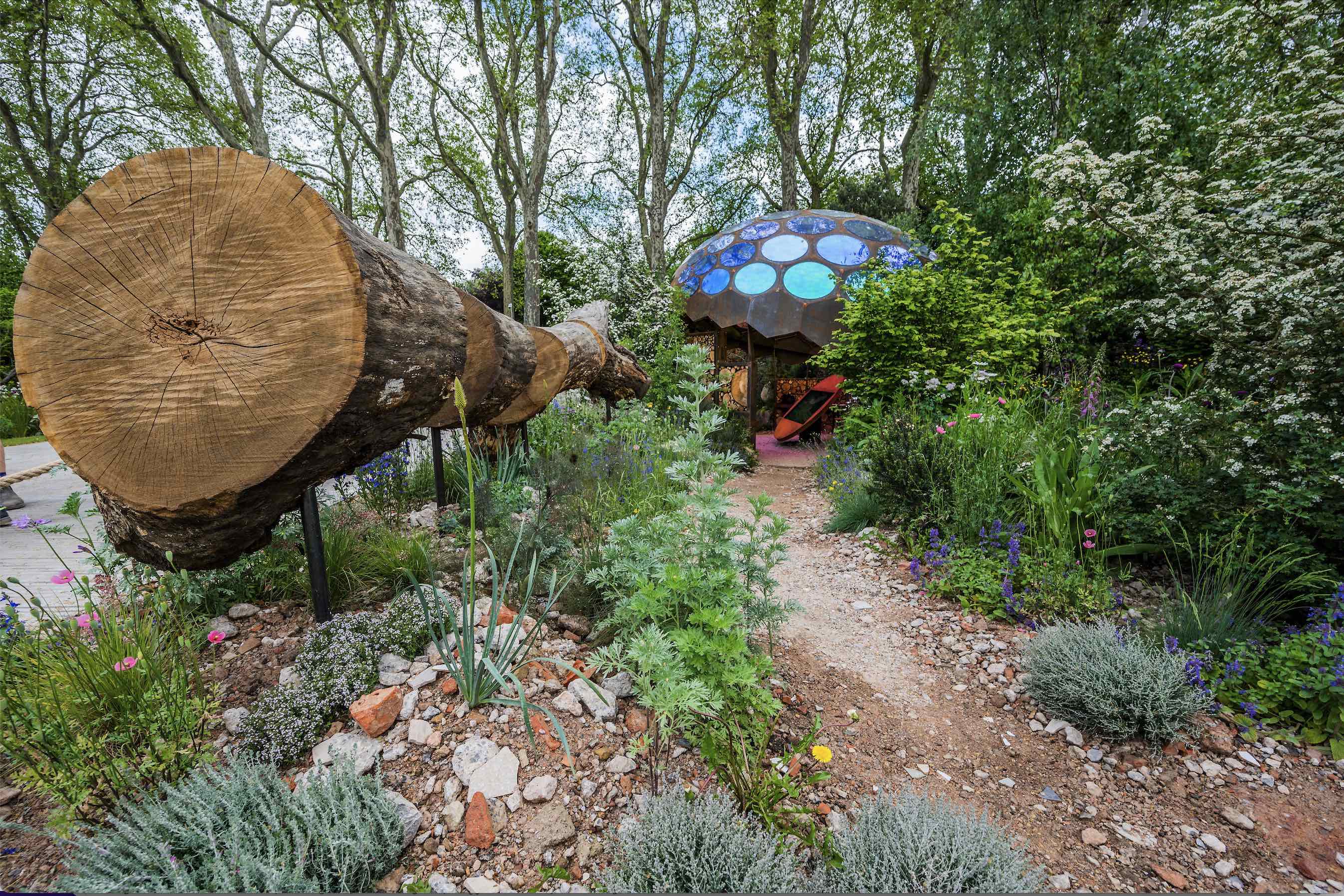 Who’s afraid of giant hogweed? | The Spectator