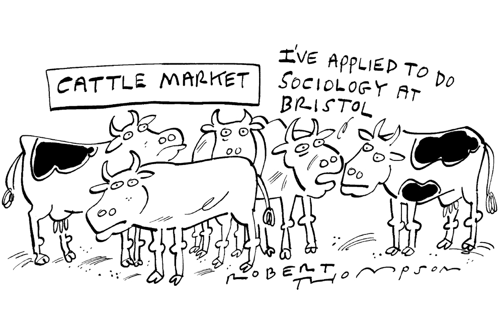 Cattle market