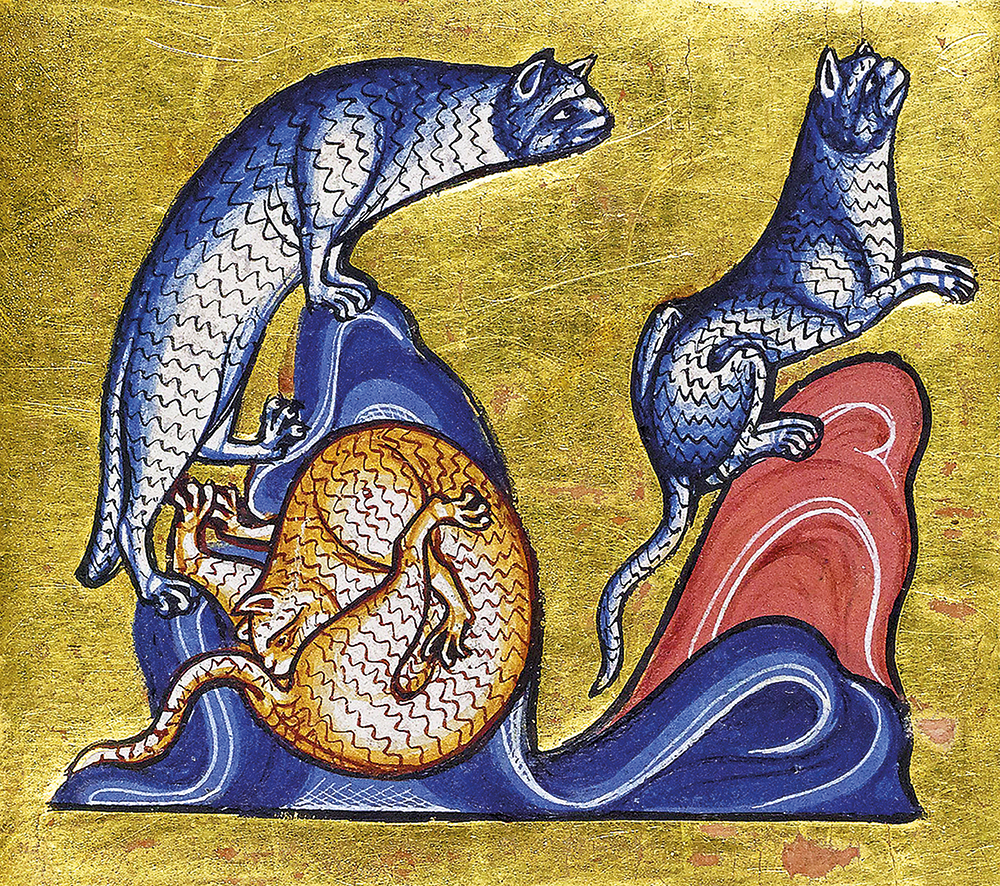 The Bestiary of Christ