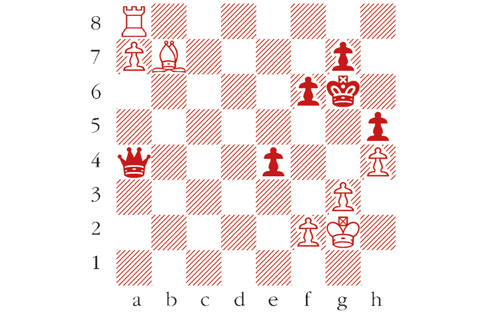 Chess puzzle The Spectator